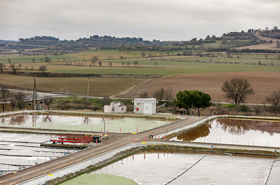 Planta depuración Cervera